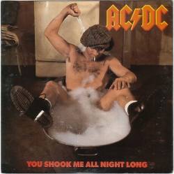 AC-DC : You Shook Me All Night Long - She's Got Balls (Live)